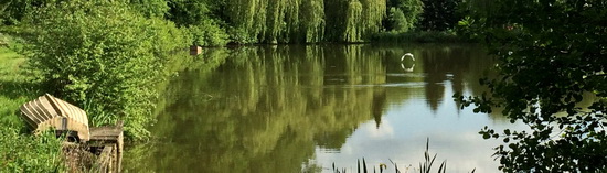 Der Teich bei Gundula